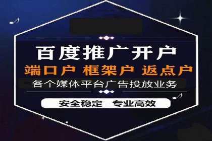 Sem优化公司案例：精准广告投放策略解析